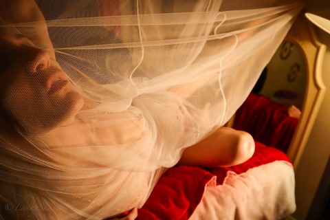 Изображение шапки OnlyFans lankyskank