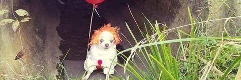 OnlyFansのヘッダー画像 lauren