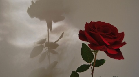 OnlyFans Titelbild laylala123