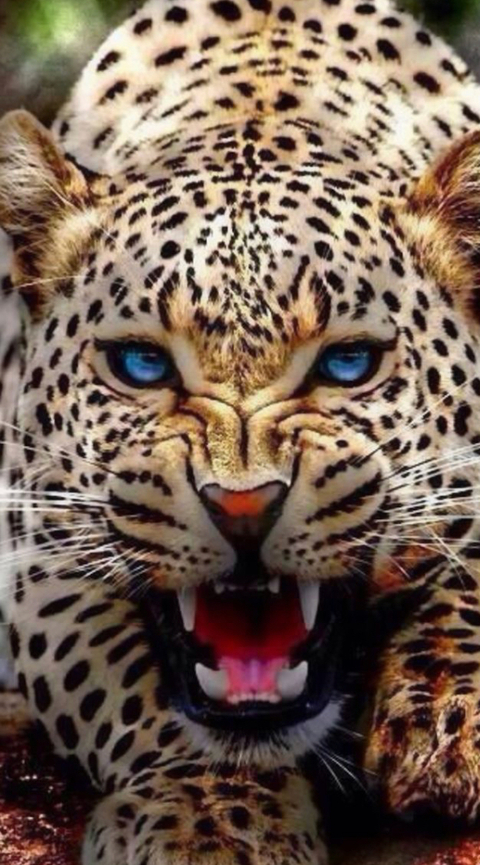 Imagen del encabezado de OnlyFans de lcpeachez88