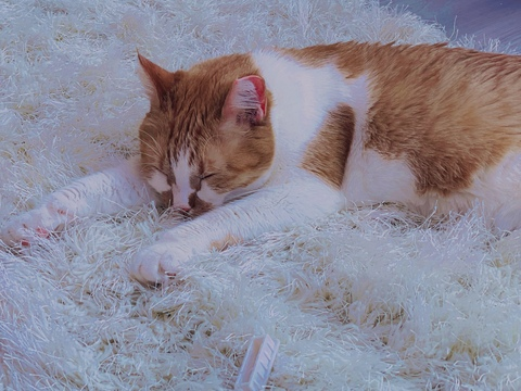 Снимка на заглавието на OnlyFans leanalovings