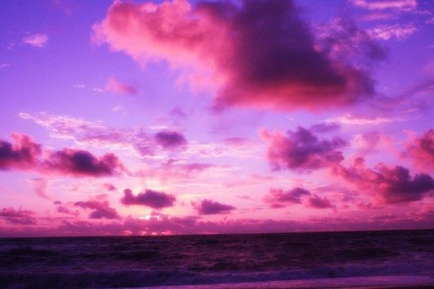 Снимка на заглавието на OnlyFans lei_id0lls