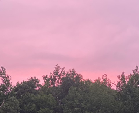 Gambar header OnlyFans leighamaeroa