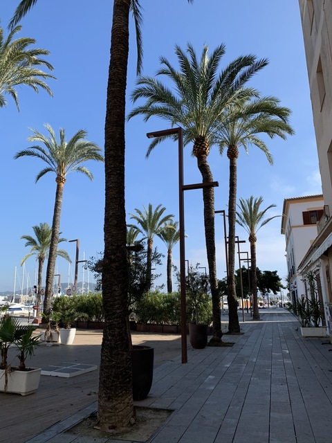 Image d'en-tête OnlyFans lightbulblonde