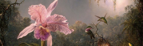 AlleenFans hoofdafbeelding lightdoula