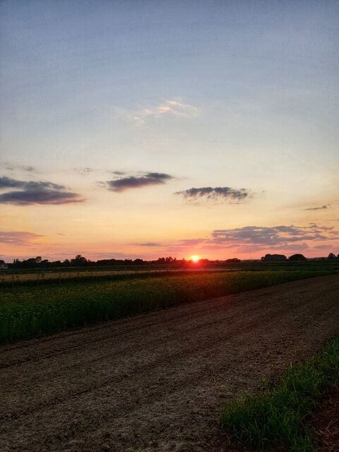 likeapinkpanther의 OnlyFans 해더 사진