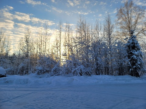 صورة رأس OnlyFans lilcutie_c