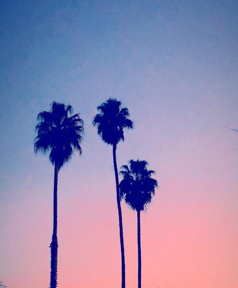 Imagem do cabeçalho do OnlyFans liljfuckyobitch