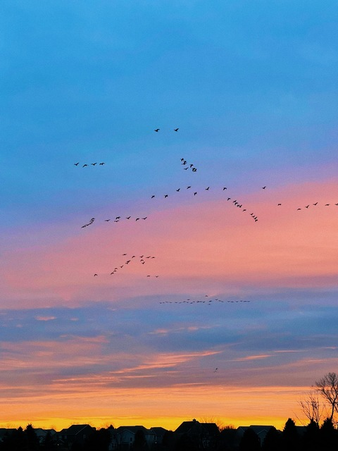 Снимка на заглавието на OnlyFans lilrach