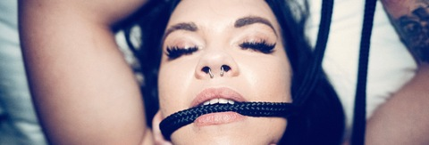 little_beefcake의 OnlyFans 해더 사진