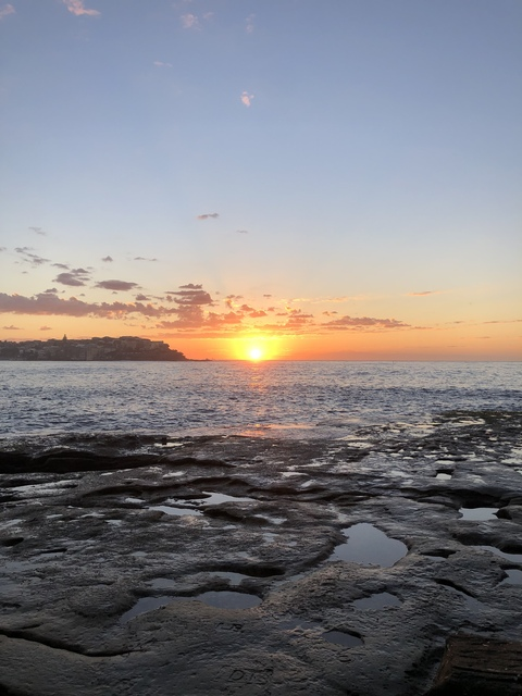 ओनलीफैंस हेडर चित्र littlehazelparker