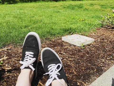 OnlyFans Titelbild littlepaws00