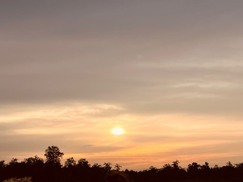 ओनलीफैंस हेडर चित्र livymarie01