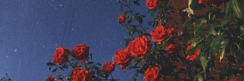 Immagine di intestazione OnlyFans lovelunar