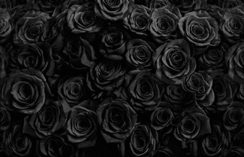 Image d'en-tête OnlyFans loveylotus