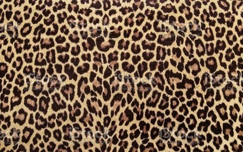 Imagem do cabeçalho do OnlyFans lulu_sxx