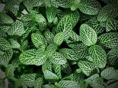 Immagine di intestazione OnlyFans madalynnraye