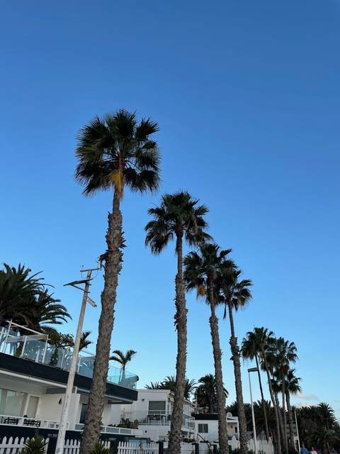 OnlyFans Titelbild maddietagg