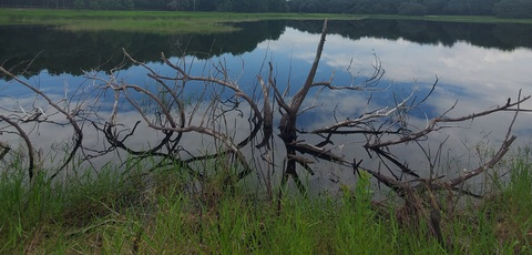 AlleenFans hoofdafbeelding maiyaakrin