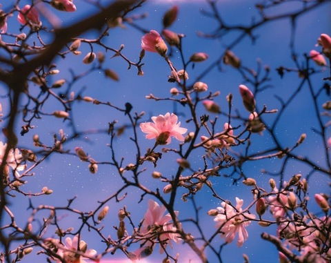 AlleenFans hoofdafbeelding mariannan