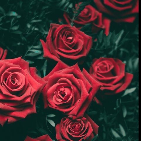 Image d'en-tête OnlyFans mariehelen