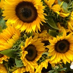 صورة الملف الشخصي في OnlyFans maurishka