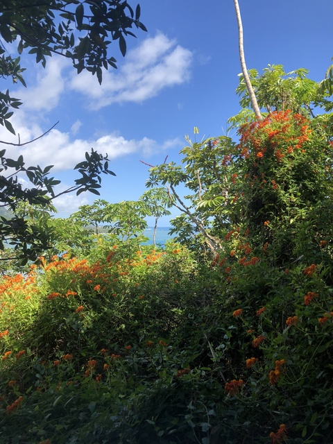 OnlyFansのヘッダー画像 mayyouneverfindout