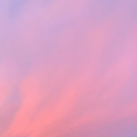 Image d'en-tête OnlyFans melonzz