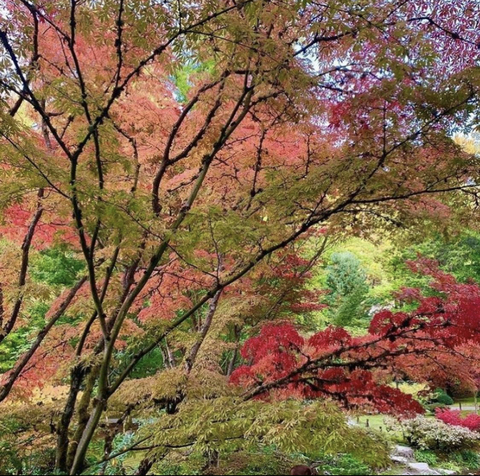 Снимка на заглавието на OnlyFans michafairy