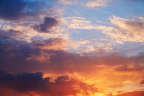 AlleenFans hoofdafbeelding mikuk