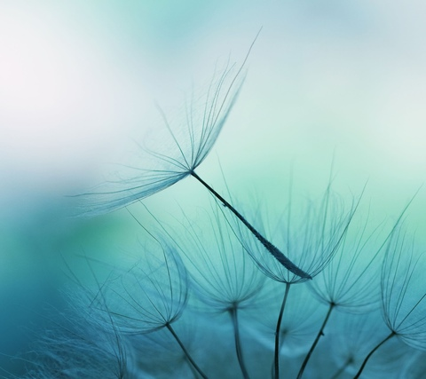 Imagen del encabezado de OnlyFans de mila-fox