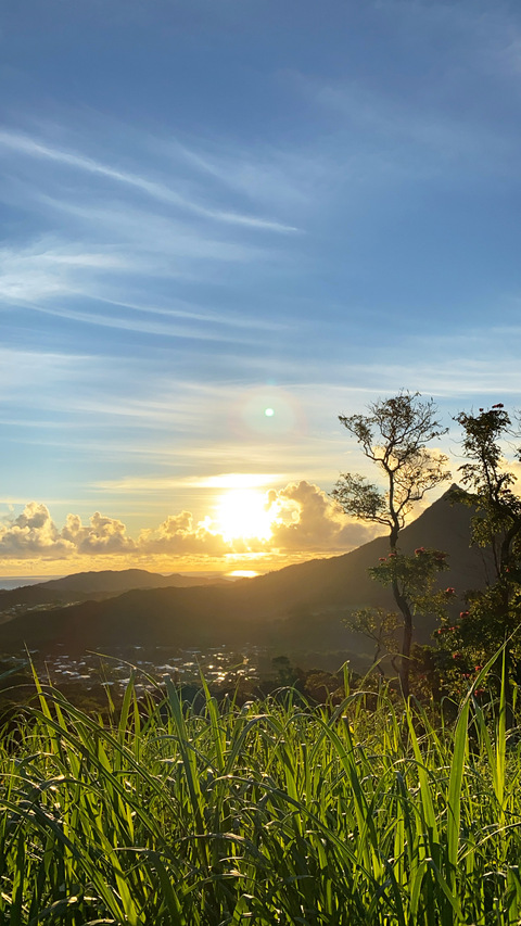 Find the Hottest minniemichelevip OnlyFans Content Join Now - FanStatistics