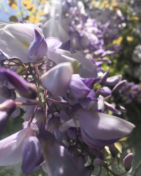 ओनलीफैंस हेडर चित्र miss.gabrielle.g