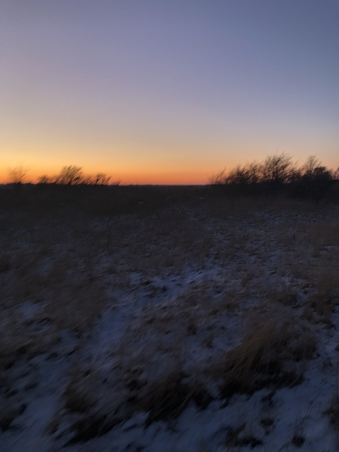 miss_vintagebetty의 OnlyFans 해더 사진