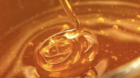 Image d'en-tête OnlyFans misshoneypotts