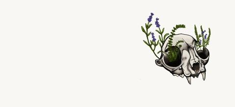 Immagine di intestazione OnlyFans misskenzied