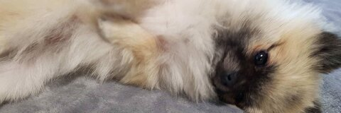 Immagine di intestazione OnlyFans mizzimie