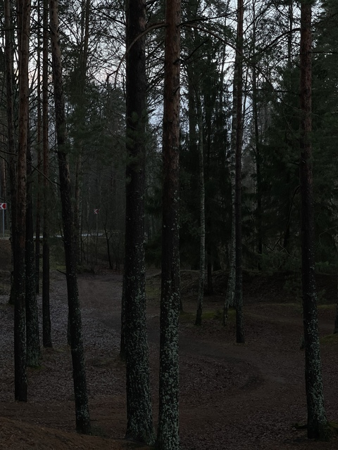 ओनलीफैंस हेडर चित्र monika_mil_z