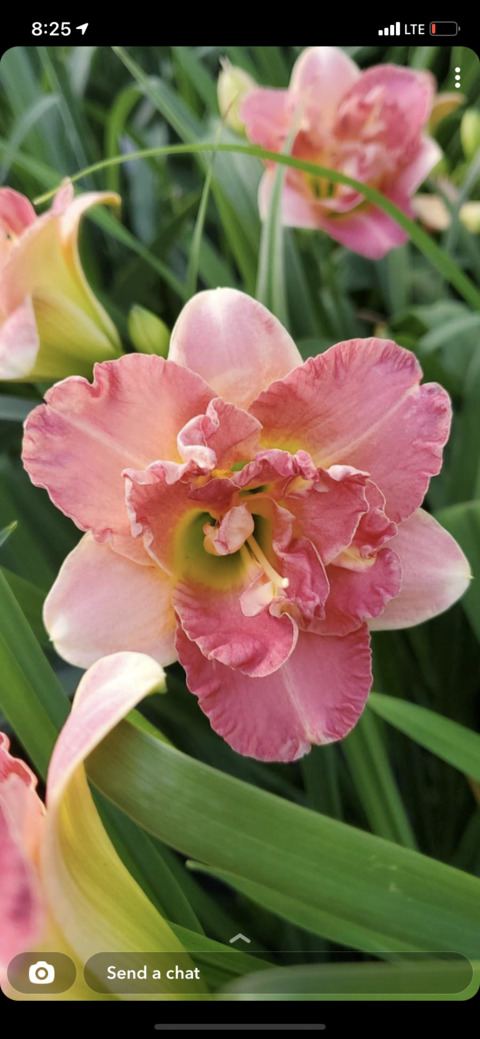 Gambar header OnlyFans morganism77