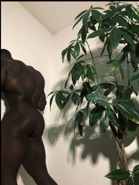 OnlyFans başlık resmi mrknedy