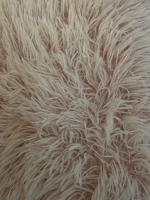 OnlyFans header picture ms_annabella