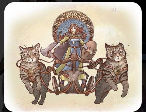 Imagem do cabeçalho do OnlyFans mskeller