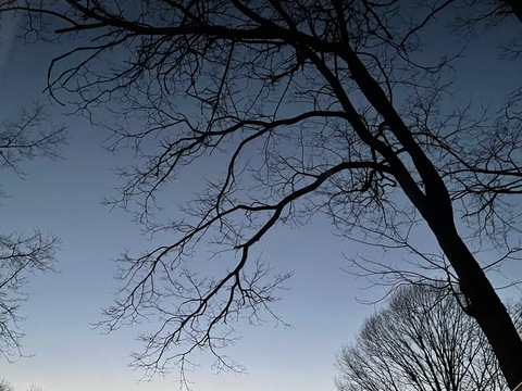 OnlyFansのヘッダー画像 myonlyadventurez