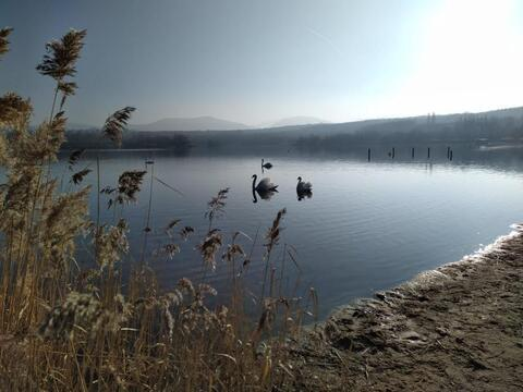 nadine22의 OnlyFans 해더 사진