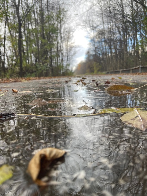 Gambar header OnlyFans natali3rk