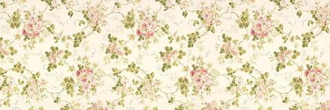 naughtykathie의 OnlyFans 해더 사진