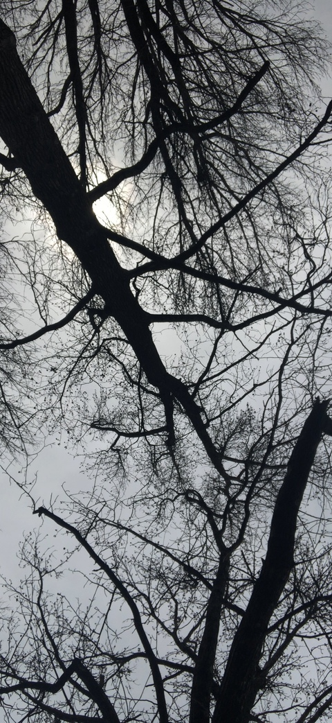 Изображение шапки OnlyFans ndblair