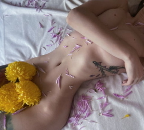 ओनलीफैंस हेडर चित्र nectarinka