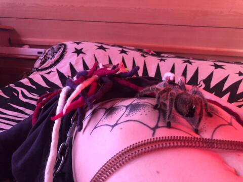 Снимка на заглавието на OnlyFans nickaitol