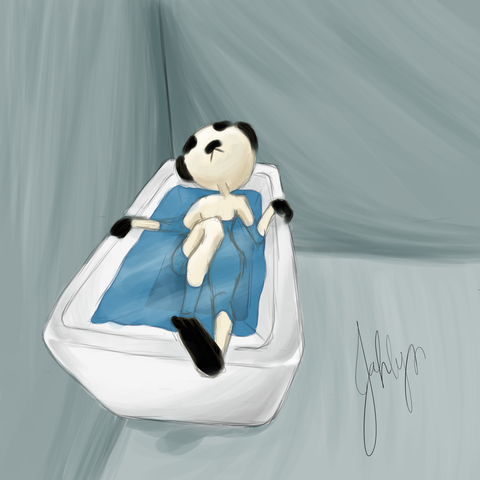 OnlyFansのヘッダー画像 niconightly